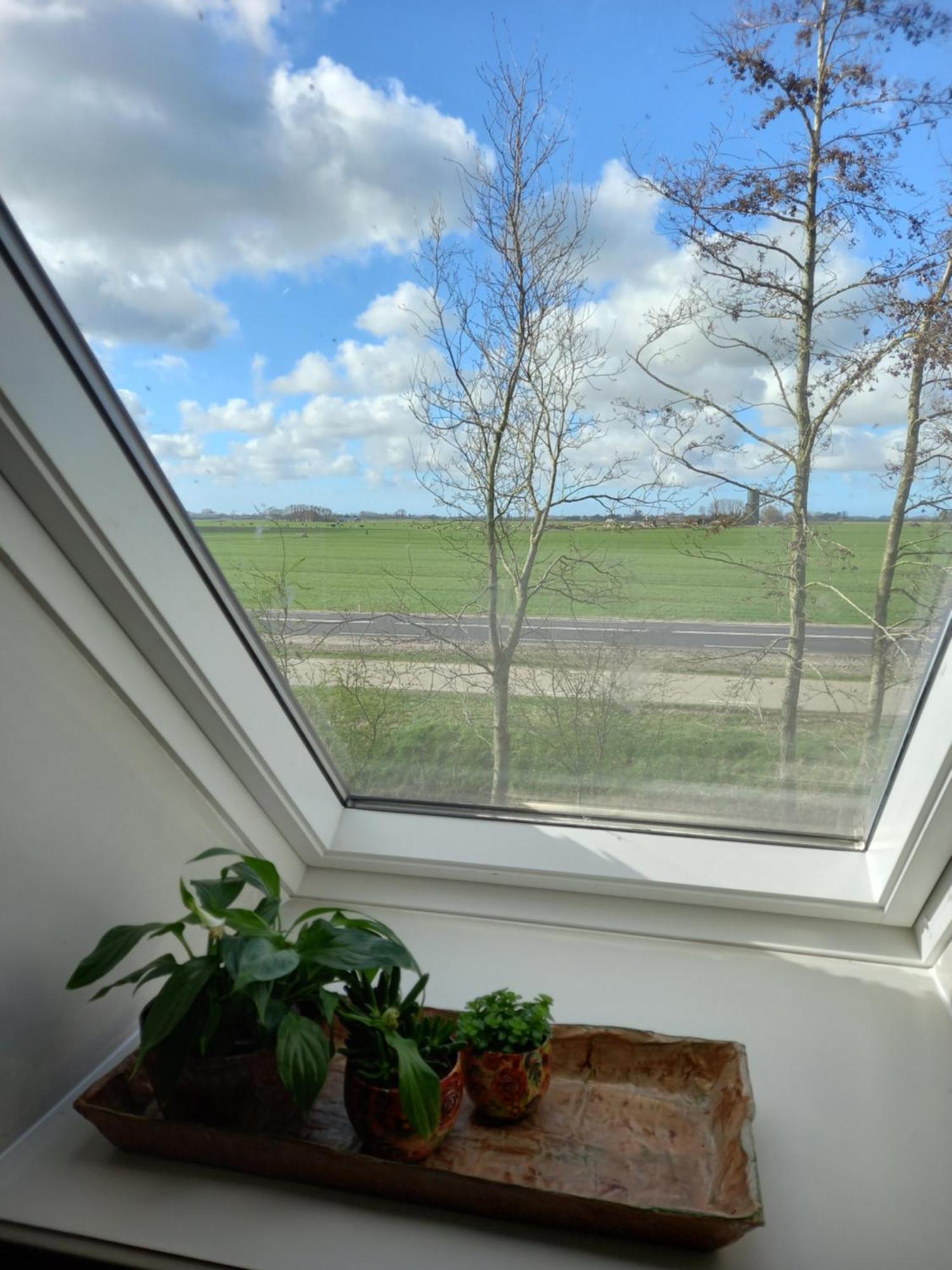 B&B Aan De Fjildwei Rinsumageest Bagian luar foto