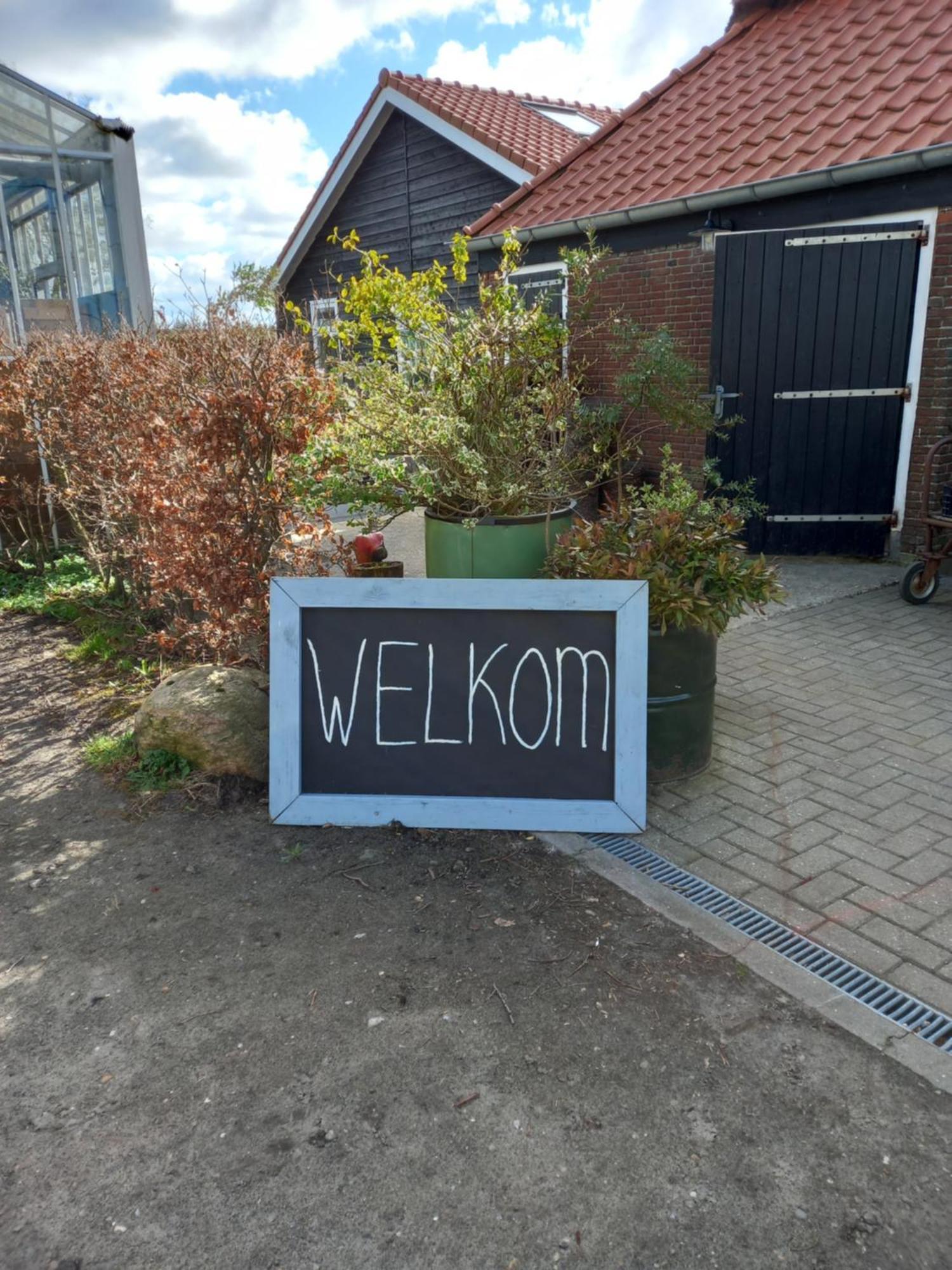 B&B Aan De Fjildwei Rinsumageest Bagian luar foto