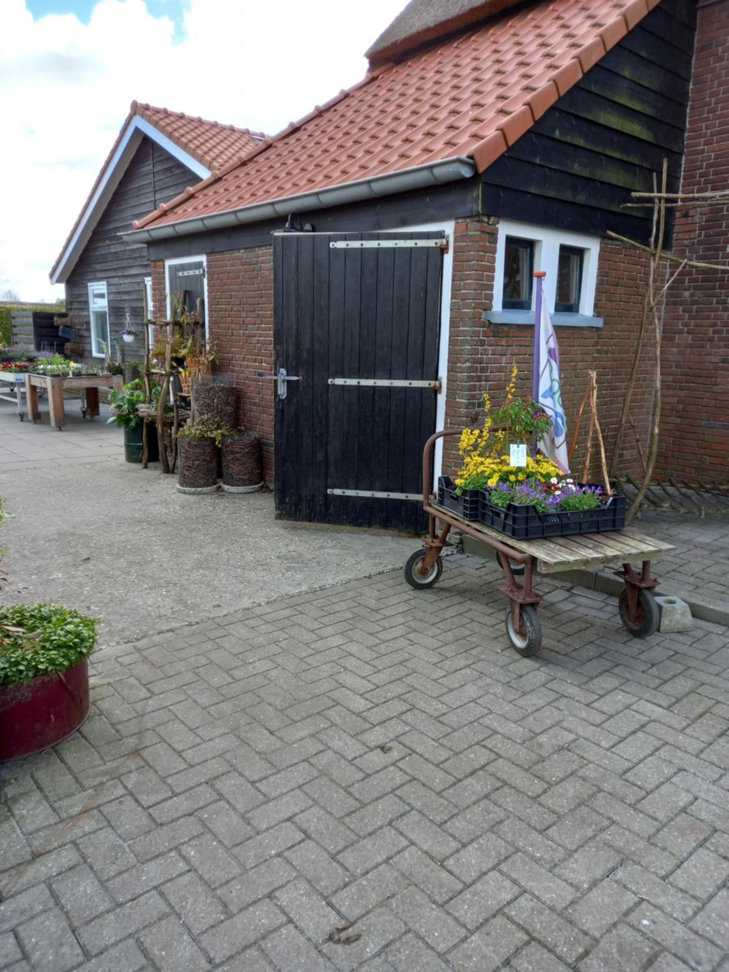 B&B Aan De Fjildwei Rinsumageest Bagian luar foto