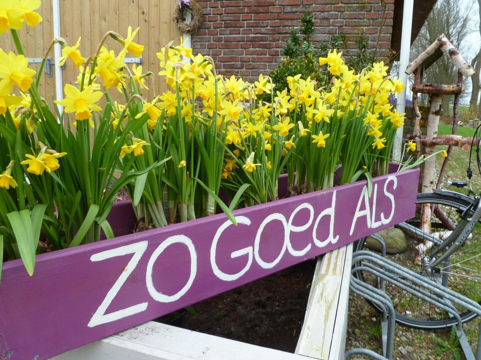 B&B Aan De Fjildwei Rinsumageest Bagian luar foto